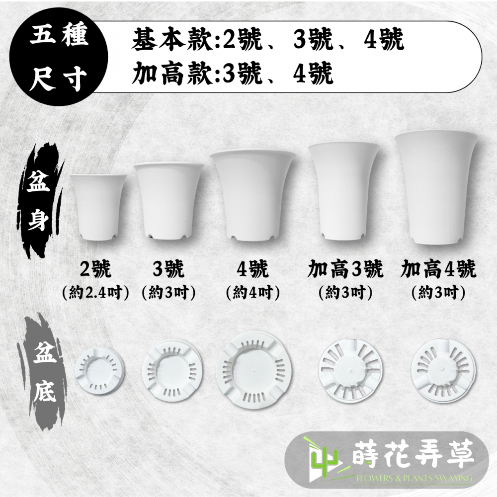 多肉丸盆(多尺寸)