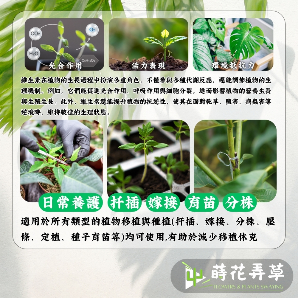 微綠活力素B1+ (120ml、500ml)