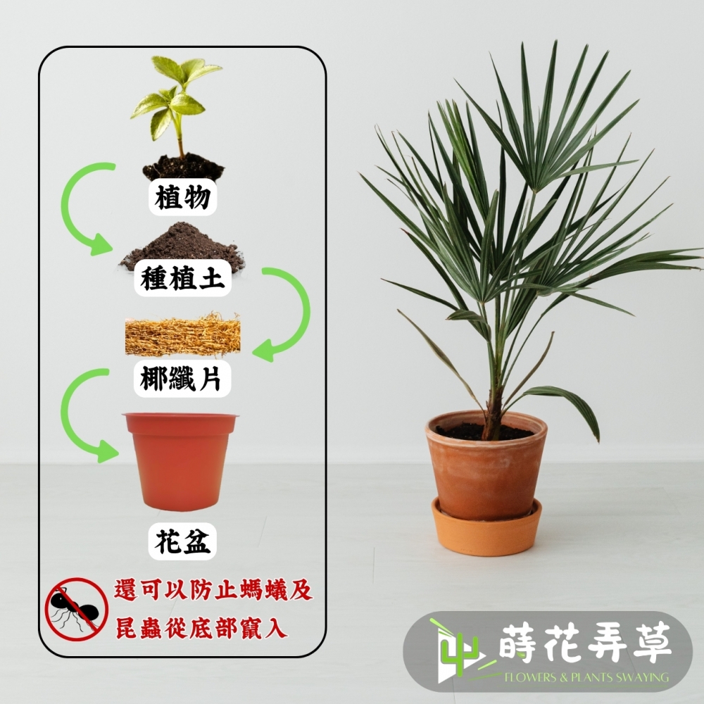 圓形椰纖片 (34cm~56cm)