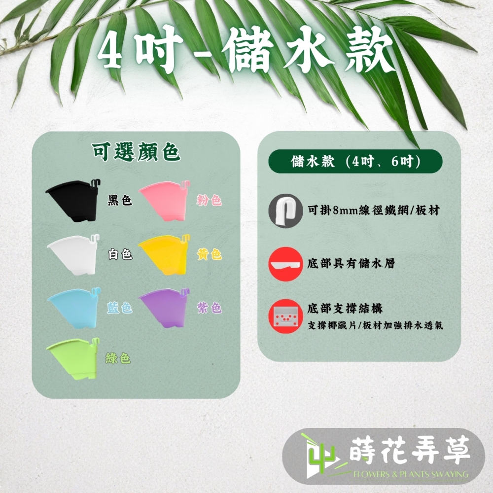 花牆掛盆(4吋、6吋)