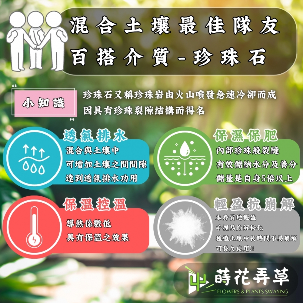 珍珠石 (細、小粒)