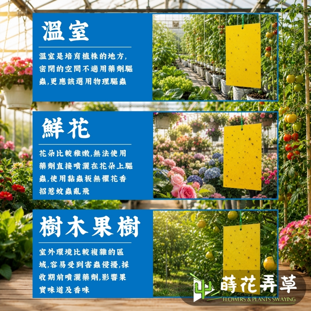 強力雙面黏蟲板 (多規格)