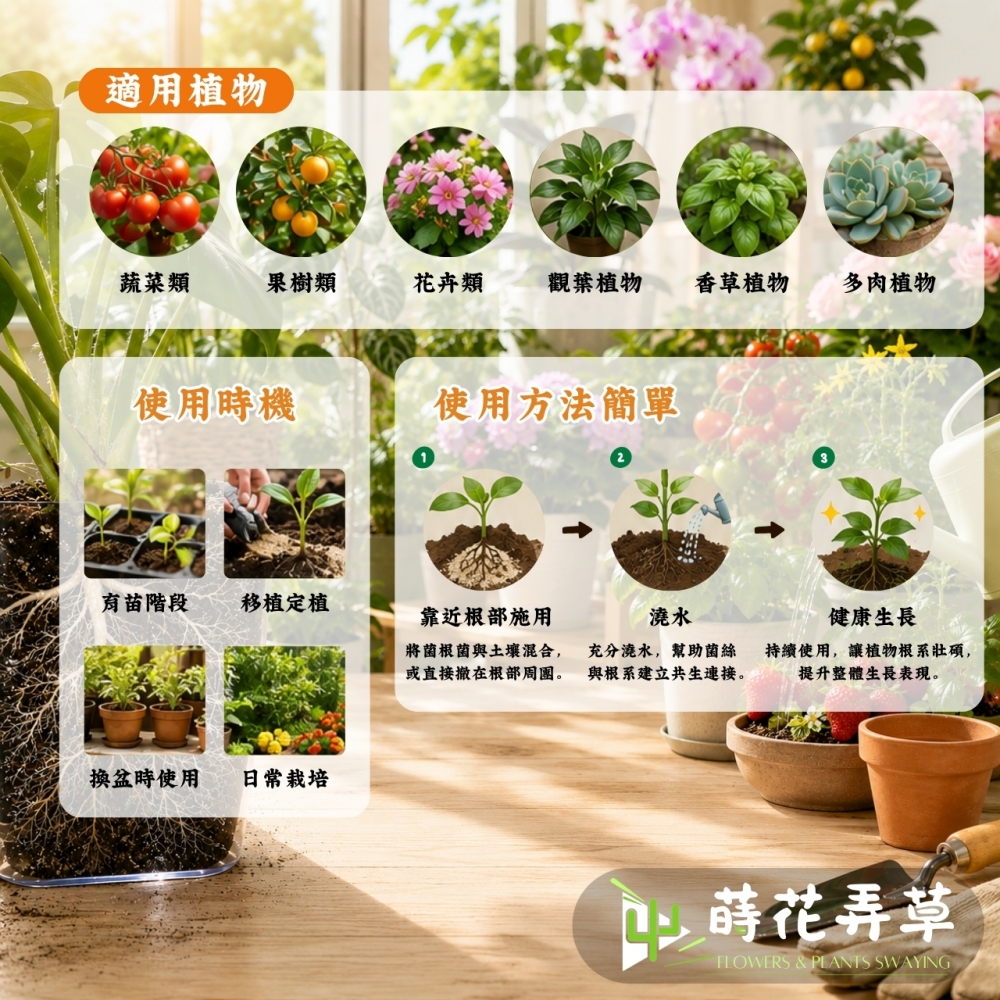 菌根菌 Mycorrhizal Fungi 有益真菌