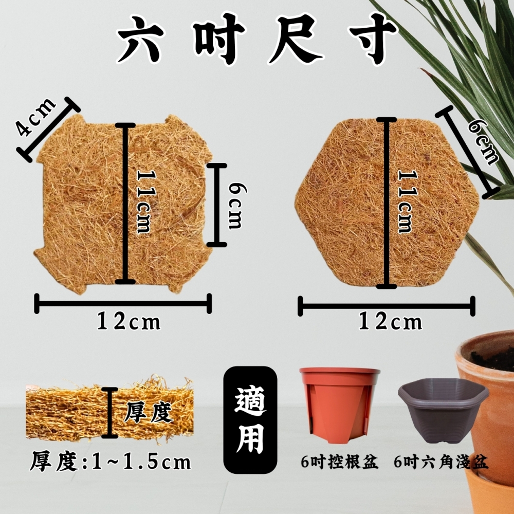 控根、六角形椰纖片