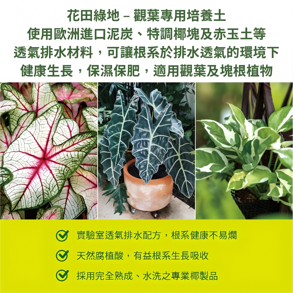 花田綠地-觀葉植物專用土(4公升）