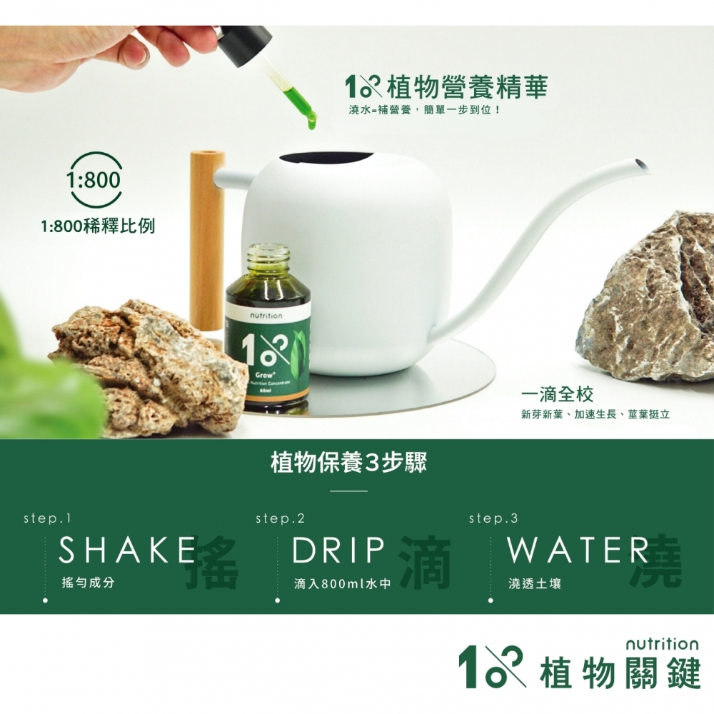 植物關鍵-植物精華液