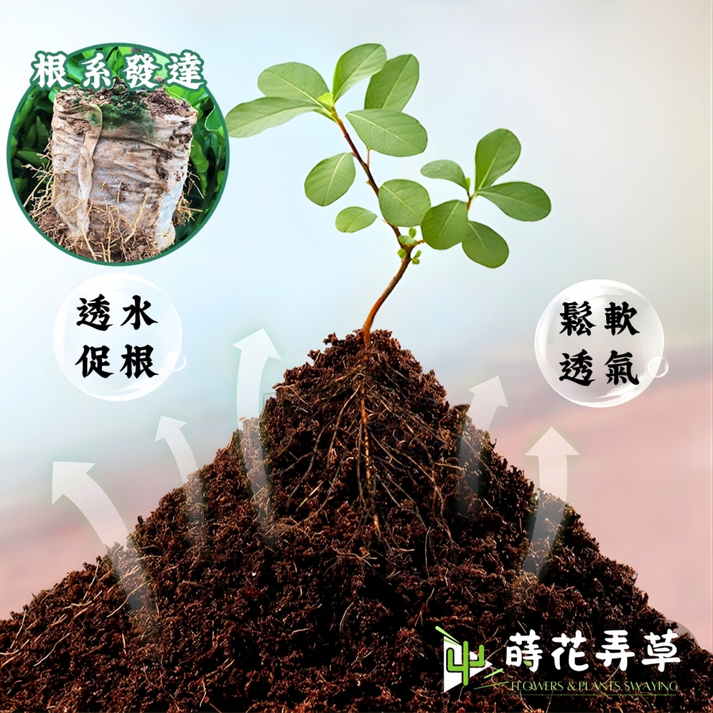 高養分育苗塊 (3cm、4cm、5cm)