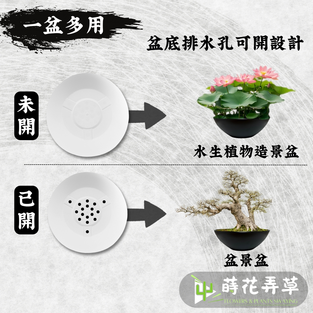日式淺缽盆(多款尺寸)