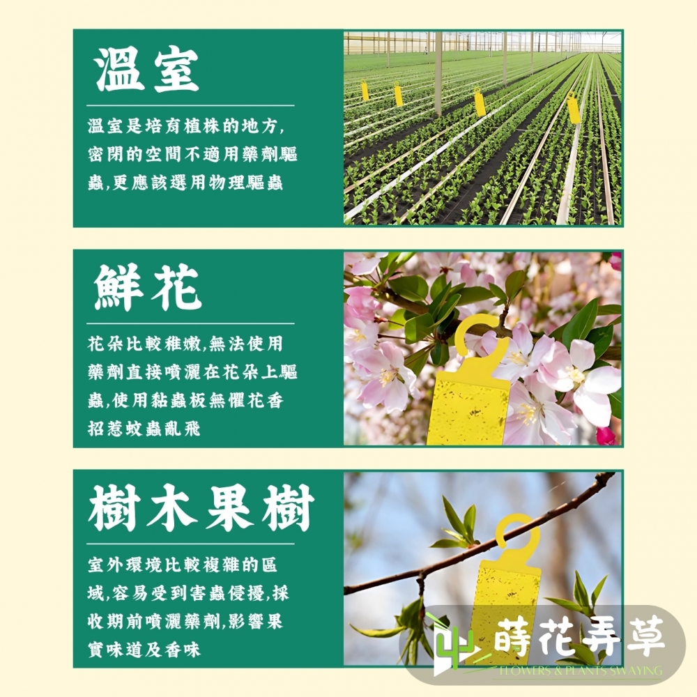 加大掛鉤黏蟲紙