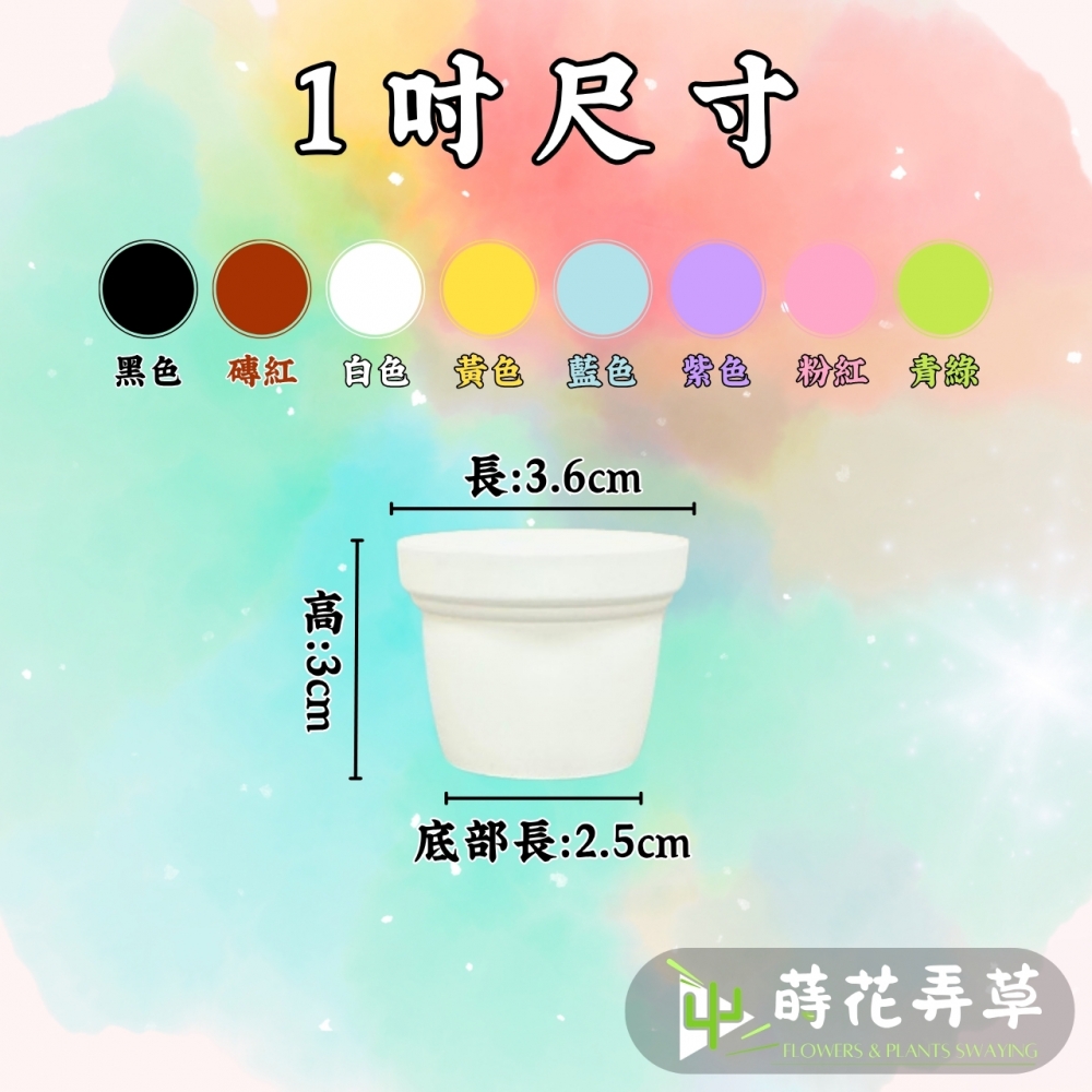 多彩荷蘭盆(1吋)
