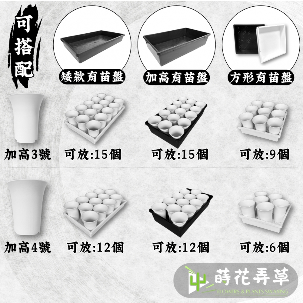 多肉丸盆(多尺寸)