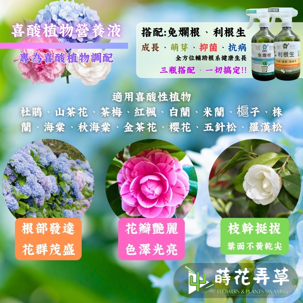 植物營養補給液(喜酸植物、綠葉植物、免爛根)