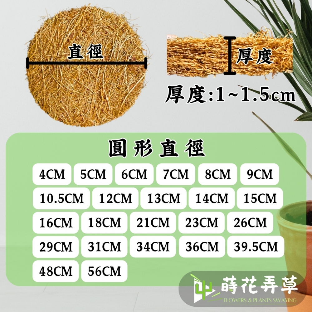 圓形椰纖片 (13cm~34cm)