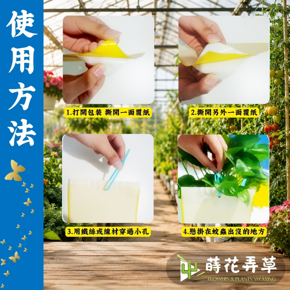 強力雙面黏蟲板 (多規格)