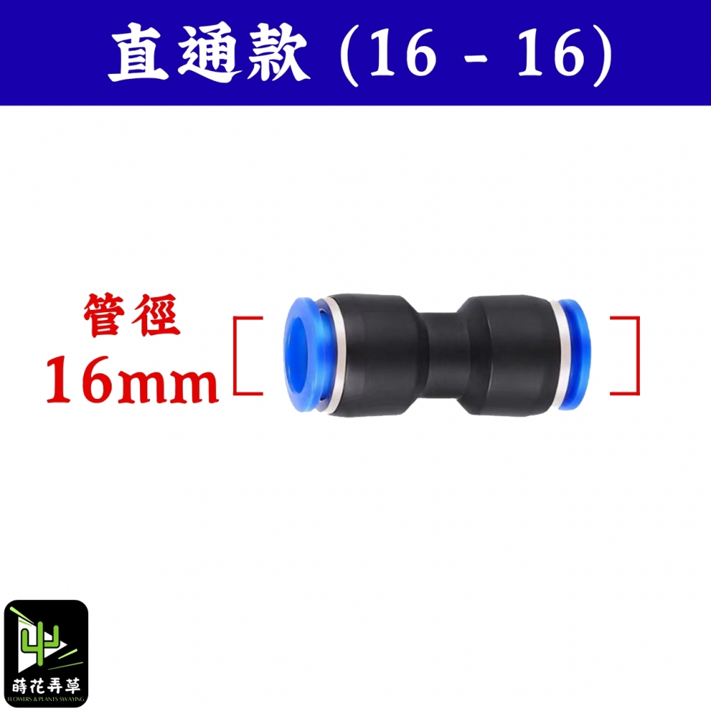 S10178155796245.jpg