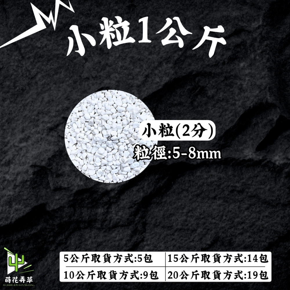 S12178284732911.jpg